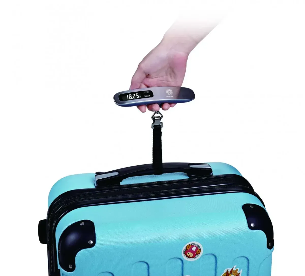 Green Lion Digital Luggage Scale 50KG Max - Silver
